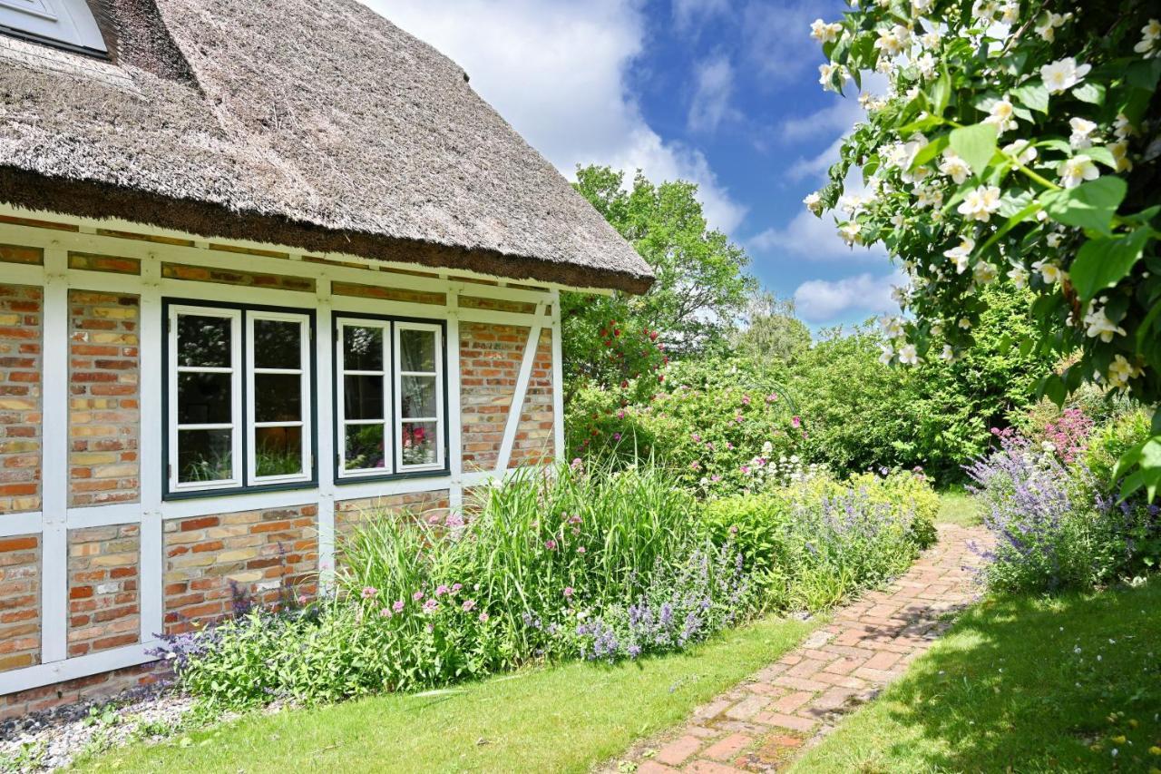 Landhaus Vilmnitz - Wohnung 10 Eksteriør billede