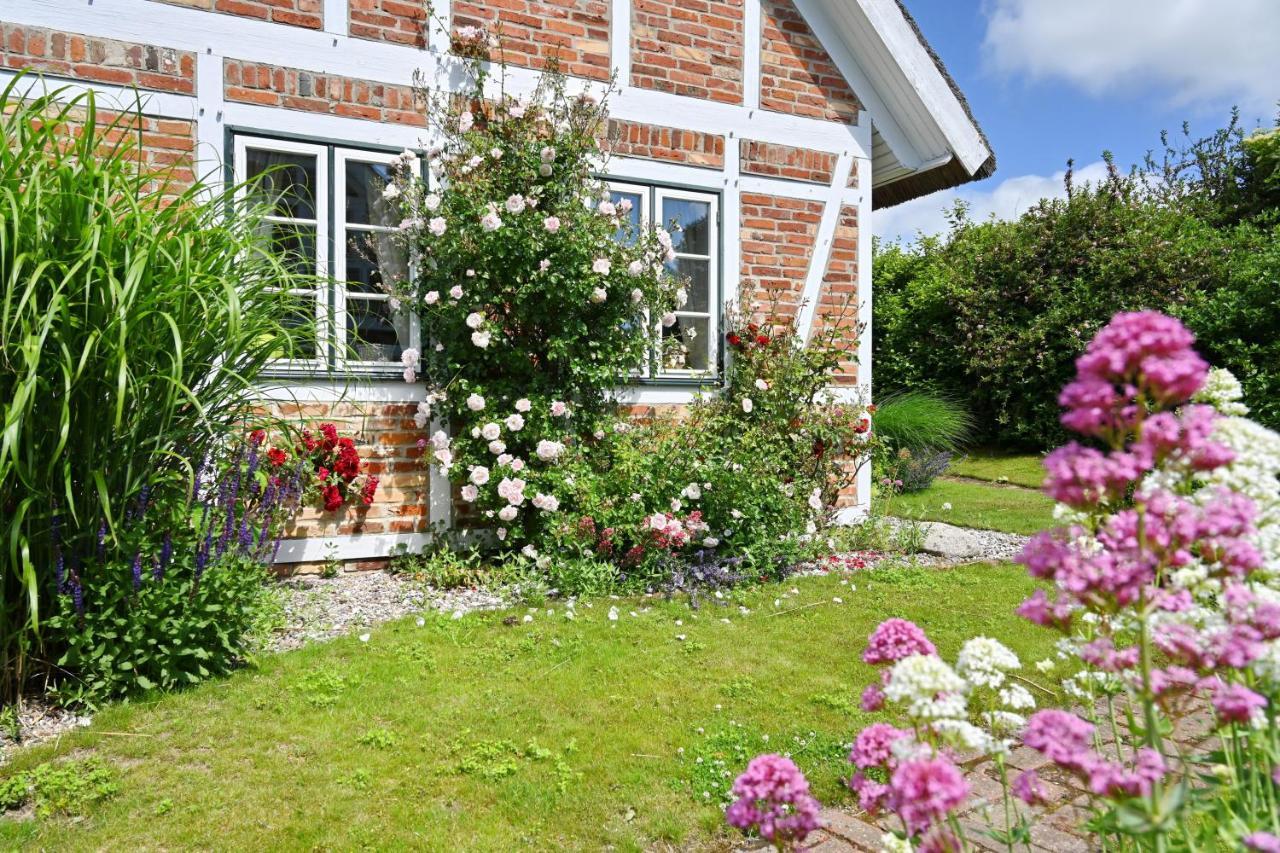 Landhaus Vilmnitz - Wohnung 10 Eksteriør billede